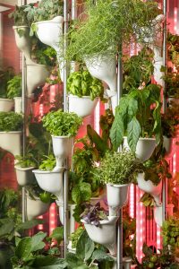 Una huerta hidropónica con diseño • PuroDiseño