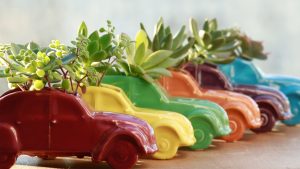 3 CONSIDERACIONES PARA DISEÑAR MACETAS – PuroDiseño