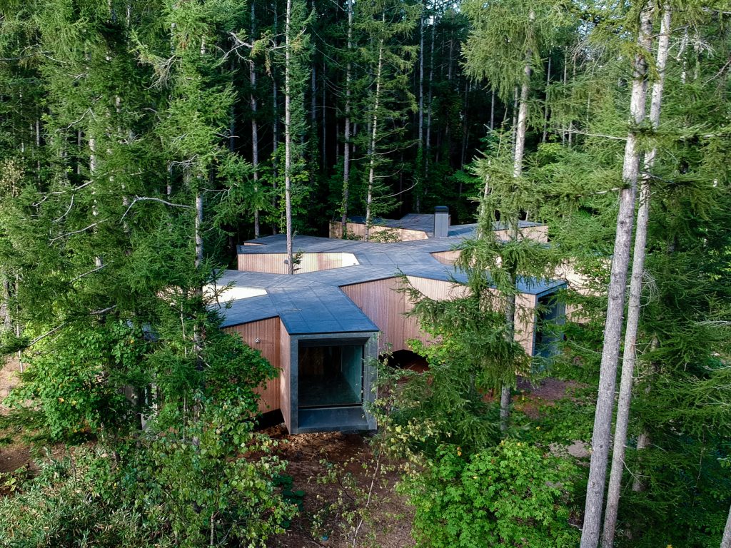 Una casa en el bosque con forma de bosque