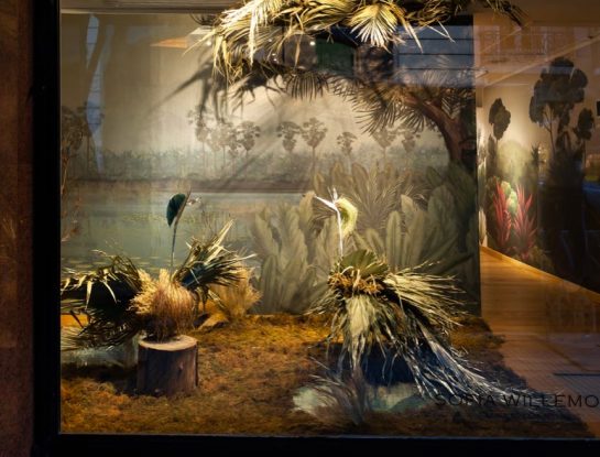 Una intervención de arte y decoración en una vidriera tropical (¡Bienvenidos a la “jungla urbana”!)