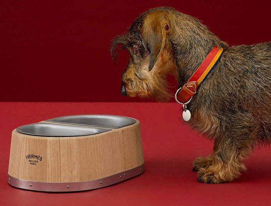 Hermès alimenta a tu perro con un comedero de lujo