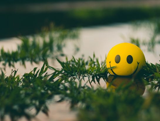 Cómo promover la vida y el desarrollo sustentable (con naturaleza positiva)