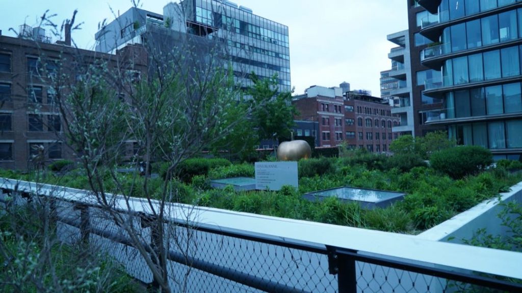 El Highline, una atracción imperdible de Nueva York. 