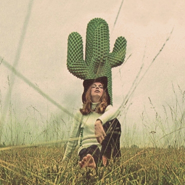 El cactus, un objeto de diseño que cumple 50 años. 