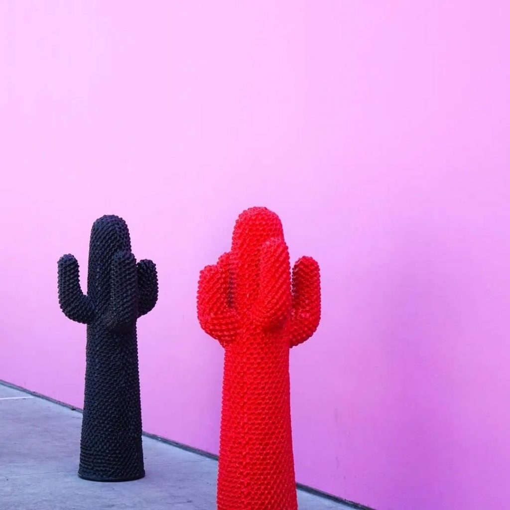 En negro y rojo, el cactus de multiplica y transforma. 