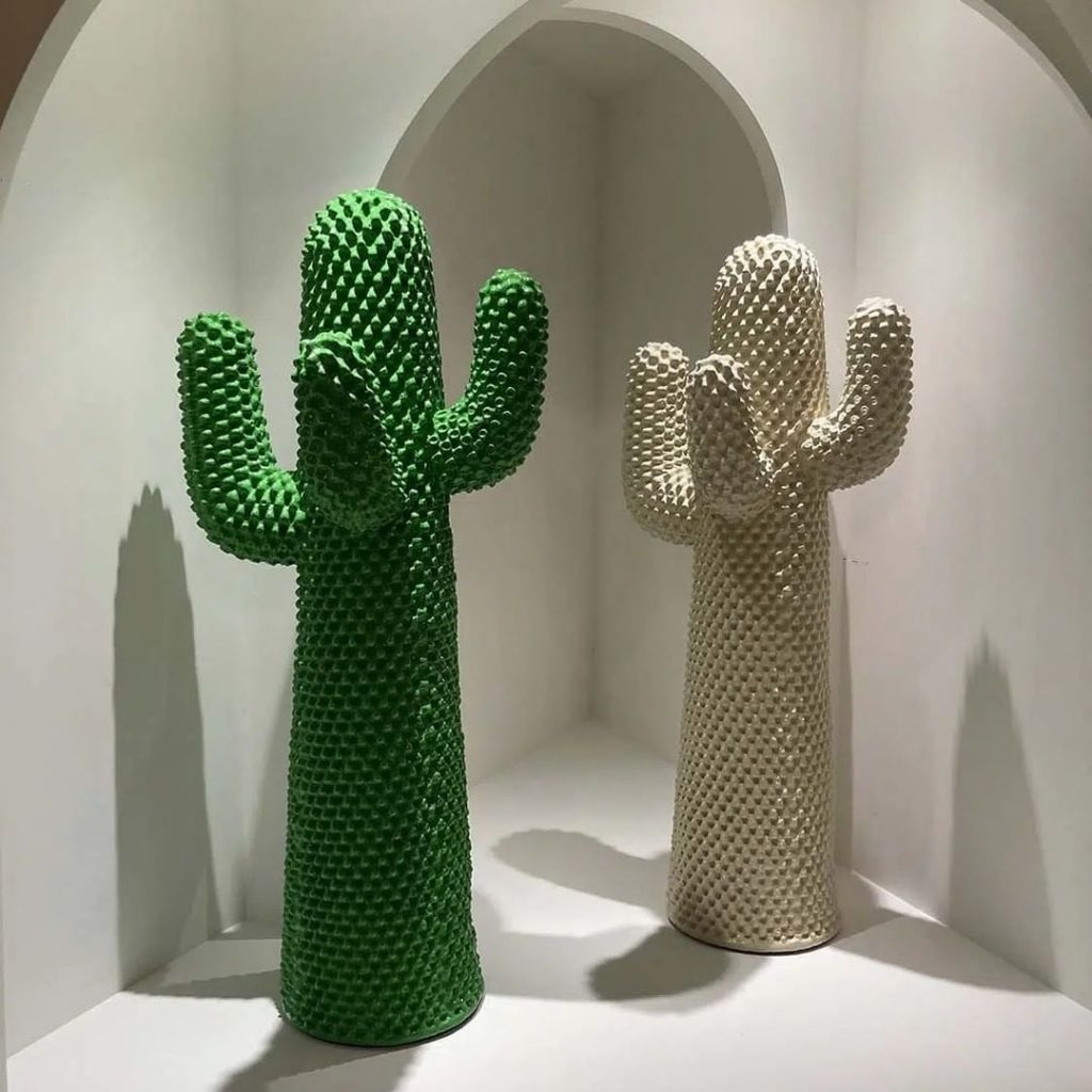 El cactus, objeto de diseño, culto y celebración. 