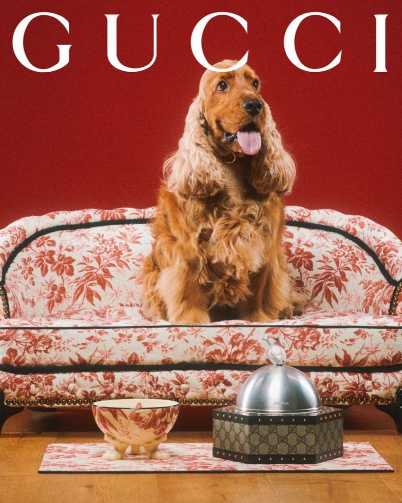 Colección "Gucci Pets". 