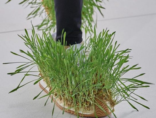 La moda sustentable avanza con tecnología, naturaleza y ¡creatividad!