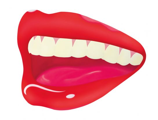 Moda y arte pop: Coach lanzó una colección inspirada en obras de Tom Wesselmann