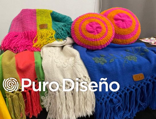 Creatividad en crecimiento: la curaduría de Puro Diseño 2022 en Santiago del Estero