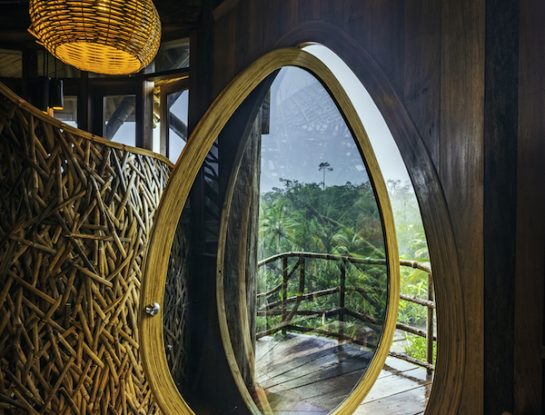 El sueño de la casa en los árboles (con diseño y sustentable) es posible