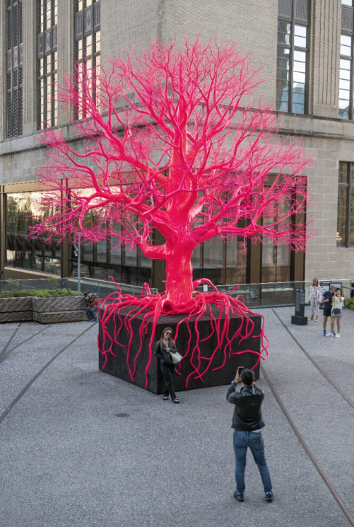 “La conexión indivisible entre los humanos y la naturaleza” es el mensaje del árbol rosa en NYC.