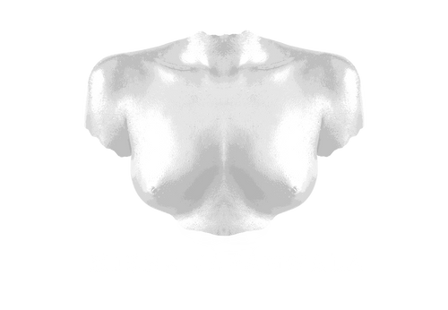 Un diseño símbolo de la moda según Misha Japanwala. 