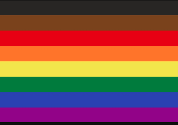 Actualmente existen múltiples variaciones de la bandera arcoíris. 