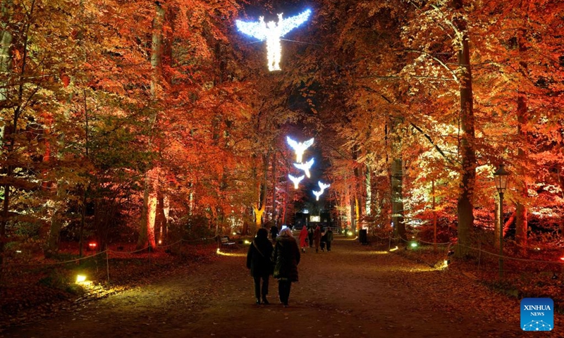 Un Christmas Garden en Berlín propone una experiencia similar a la de Secret Garden en Buenos Aires. 