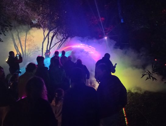 Video: Secret Garden llena de luces el Jardín Botánico (¡y nos ilumina!)