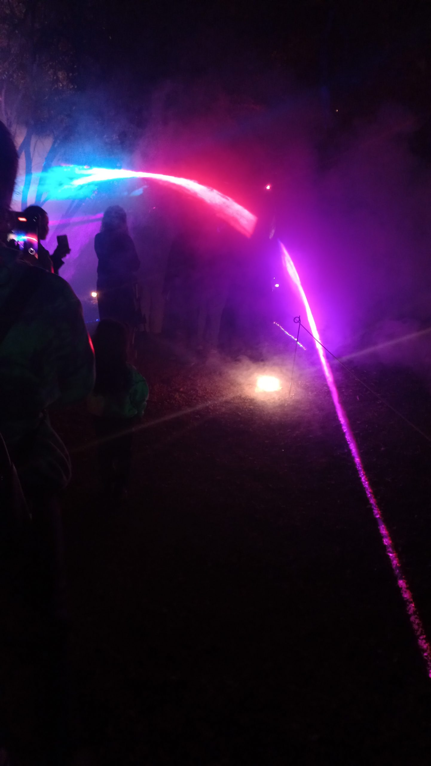 Video Secret Garden llena de luces el Jardín Botánico (¡y nos ilumina