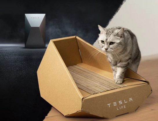 Y una día Tesla lanzó… una casa de cartón para gatos ¡inspirada en el diseño de una camioneta!