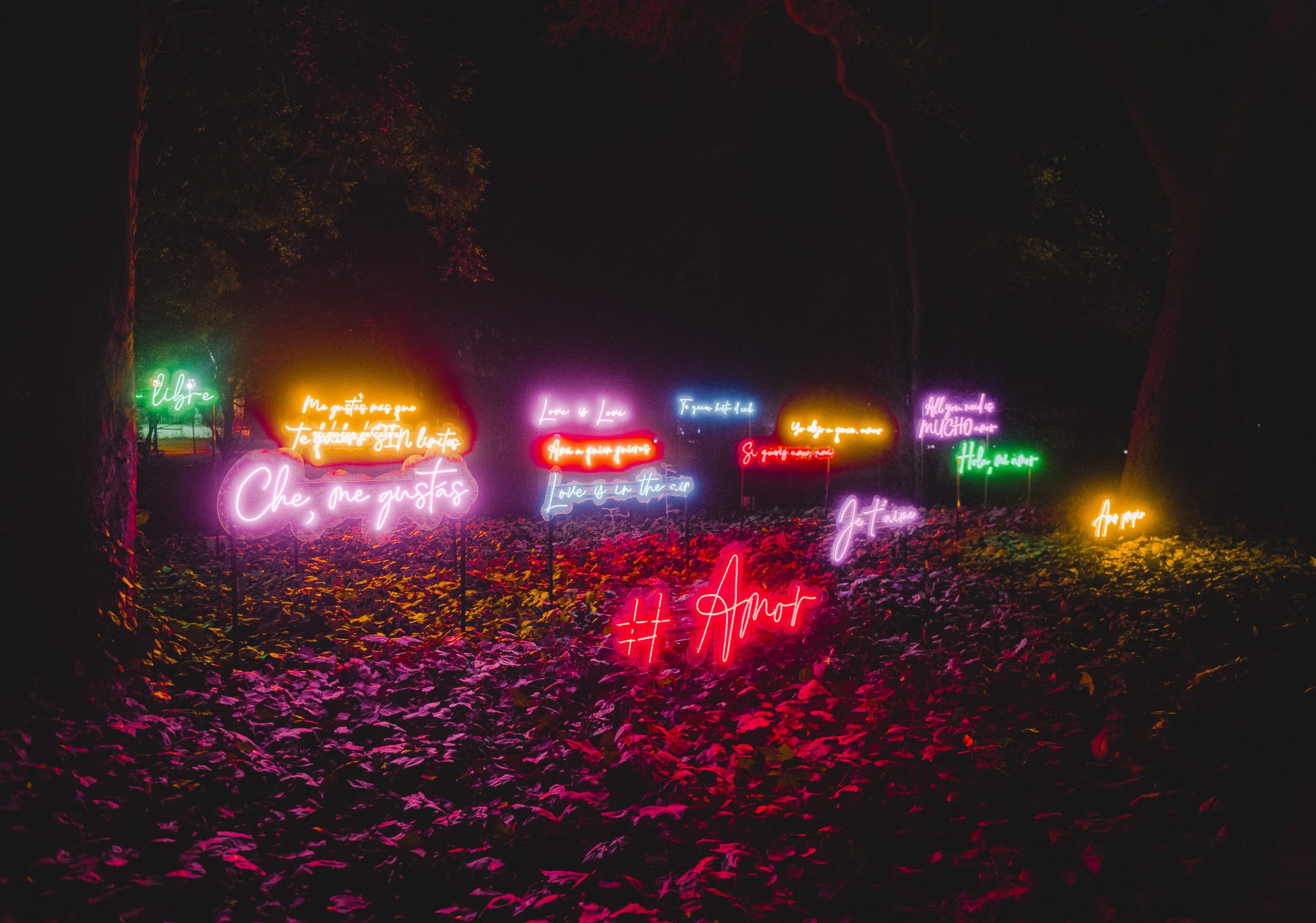 "Secret Garden" y las claves del éxito de las fascinantes exhibiciones