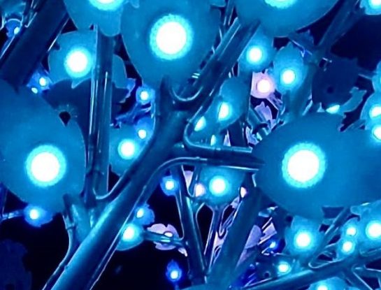 Arbórea Magna: 7 cosas que tenés que saber sobre la  nueva escultura en el Parque de Innovación