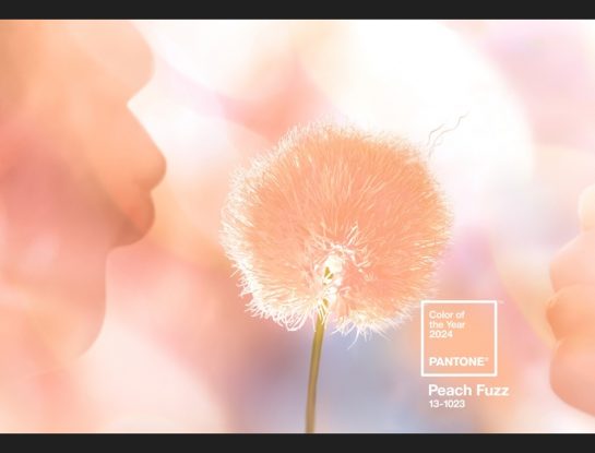 Peach Fuzz: lo que tenés que saber sobre el Color Pantone del año 2024