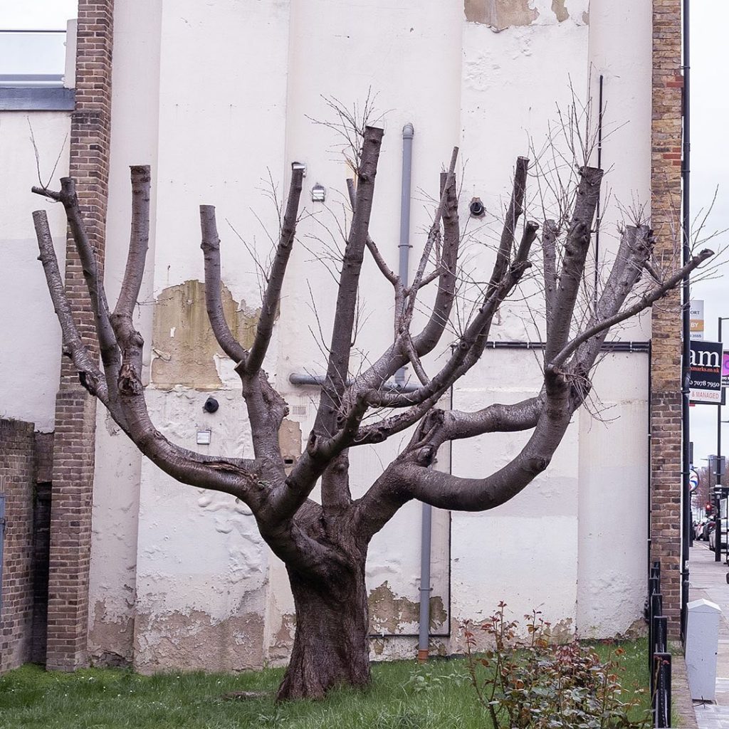 El "mural del árbol" de Banksy, en la calle Hornsey Road, en el barrio de Finsbury Park, Londres.