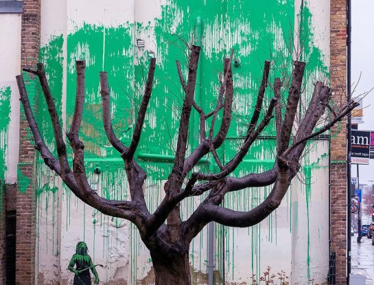 Es oficial: el “mural del árbol” en Londres es la nueva obra de Banksy
