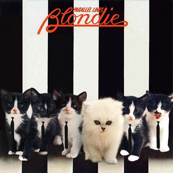 Glamorosos y rockeros, los gatos de Blondie. 