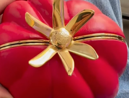 La increíble historia del meme del tomate que se convirtió en accesorio de diseño viral de Loewe 2024