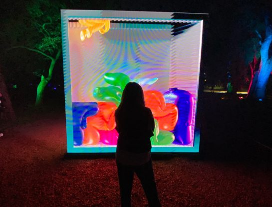 Así es “Secret Garden Orígenes”: la nueva muestra inmersiva en El Rosedal de Palermo