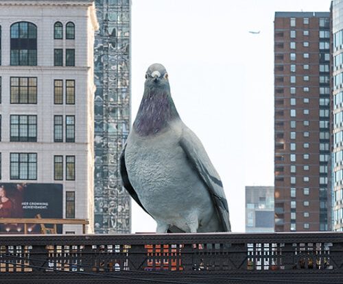 La escultura de una paloma gigante invade Nueva York