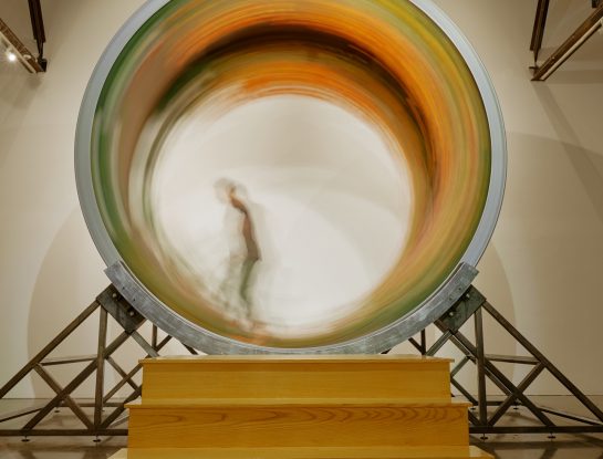 “Wander Wheel”: una sorprendente rueda para hámsteres humana giró en Nueva York