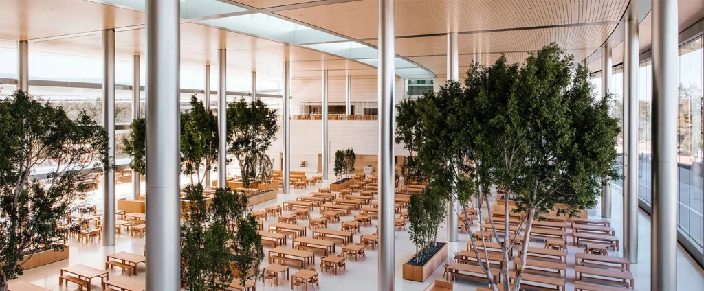 Apple Park incluye una cafetería de 200 metros cuadrados. 