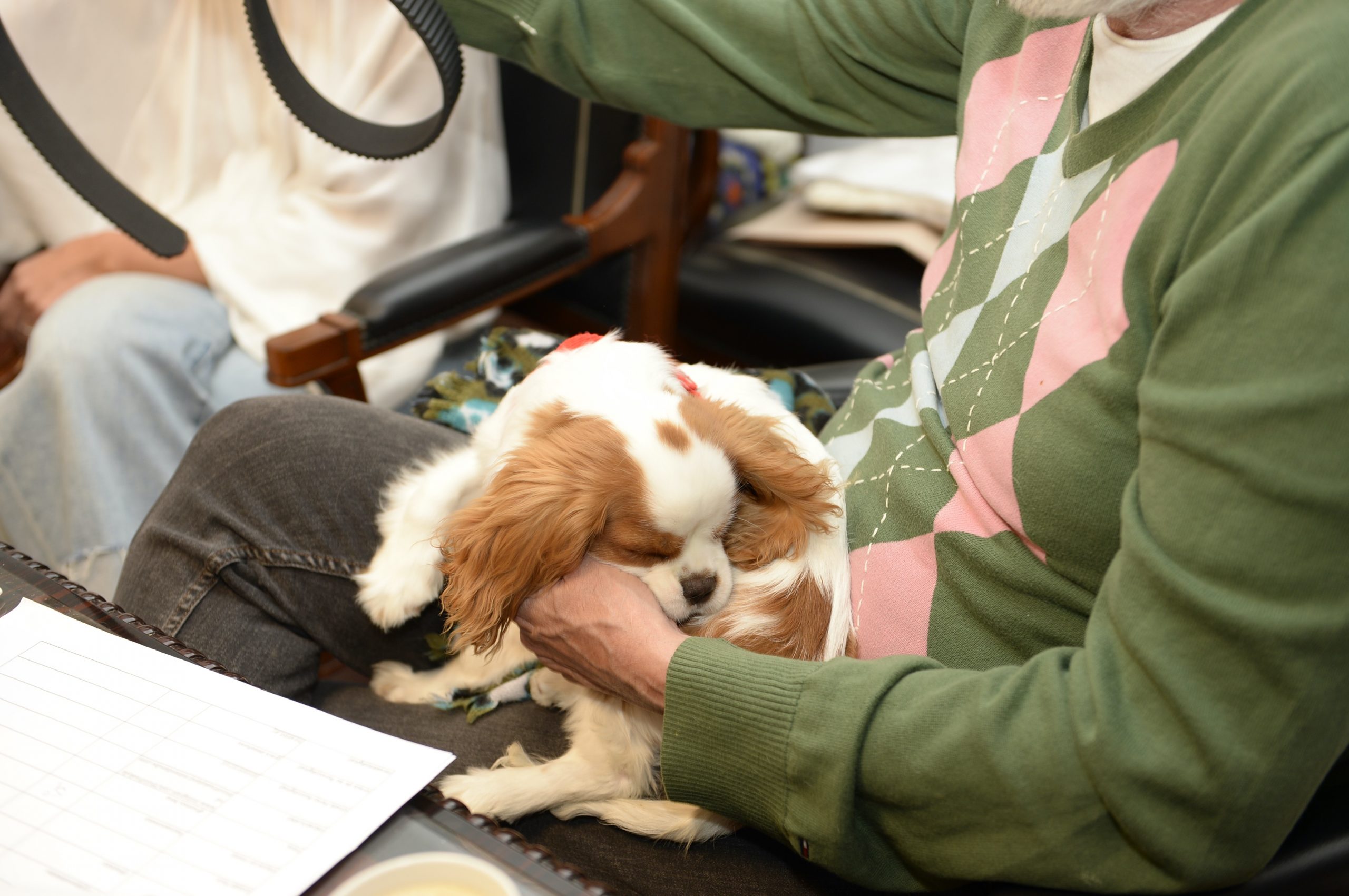 Toto fue consagrado como “curador perruno” y embajador de "Mascotas", la nueva categoría de Feria Puro Diseño.
