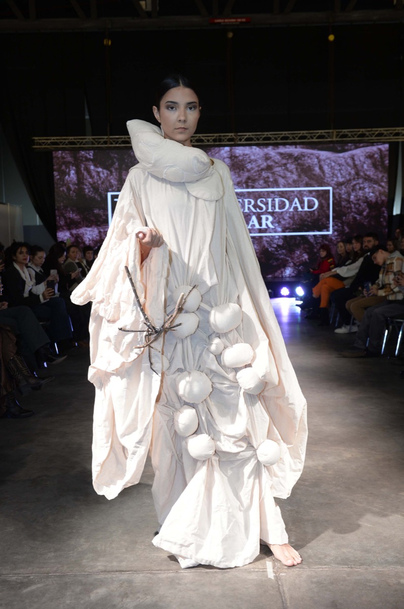  Tecnicatura Superior en Diseño de Indumentaria y Textil.  