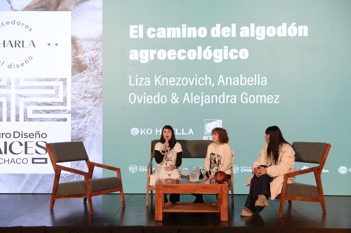Las charlas tienen un lugar relevante en la agenda de actividades de Puro Diseño Raíces Chaco. 