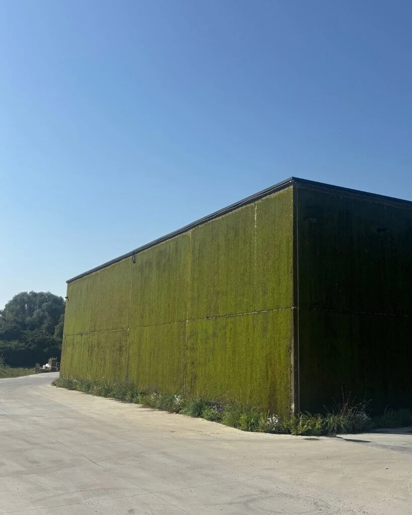 Regulan la humedad ambiental, disminuyen el ruido exterior y actúan como aislantes térmicos.