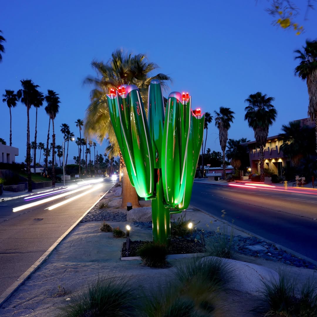 Por la noche, Cadilactus se encienden en flores luminosas que emergen del paisaje árido.