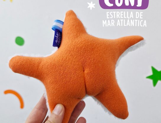 Así se hizo "Coni": el muñeco de diseño inspirado en la estrella de mar viral del Conicet 