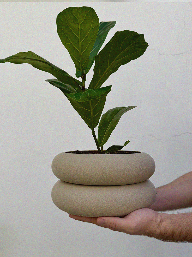 Planta
