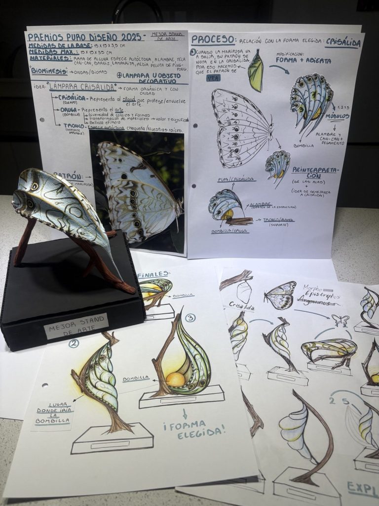 Los premios Feria Puro Diseño 2025 creados en Chaco estarán alineados con la biomímesis, la temática de la edición 25º Aniversario. 