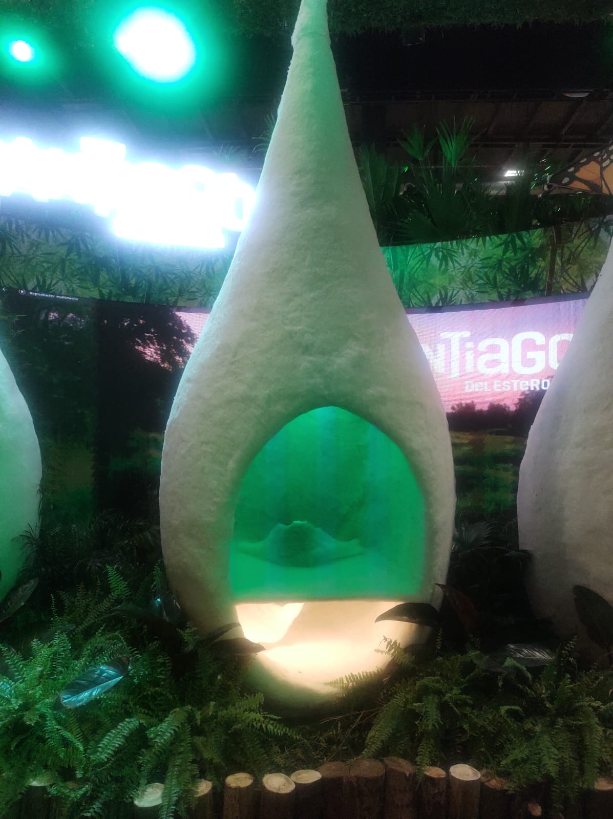 Los capullos de Santiago del Estero son arte, diseño y naturaleza en estado puro. 