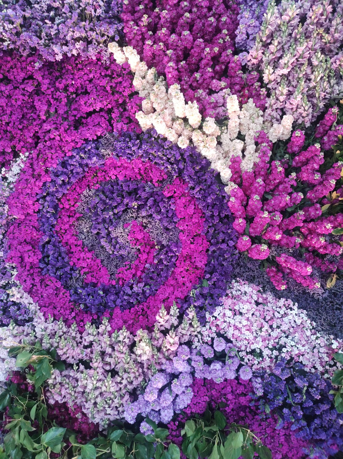 La huella de Puro Diseño el mural de la Cooperativa Argentina de Floricultores.
