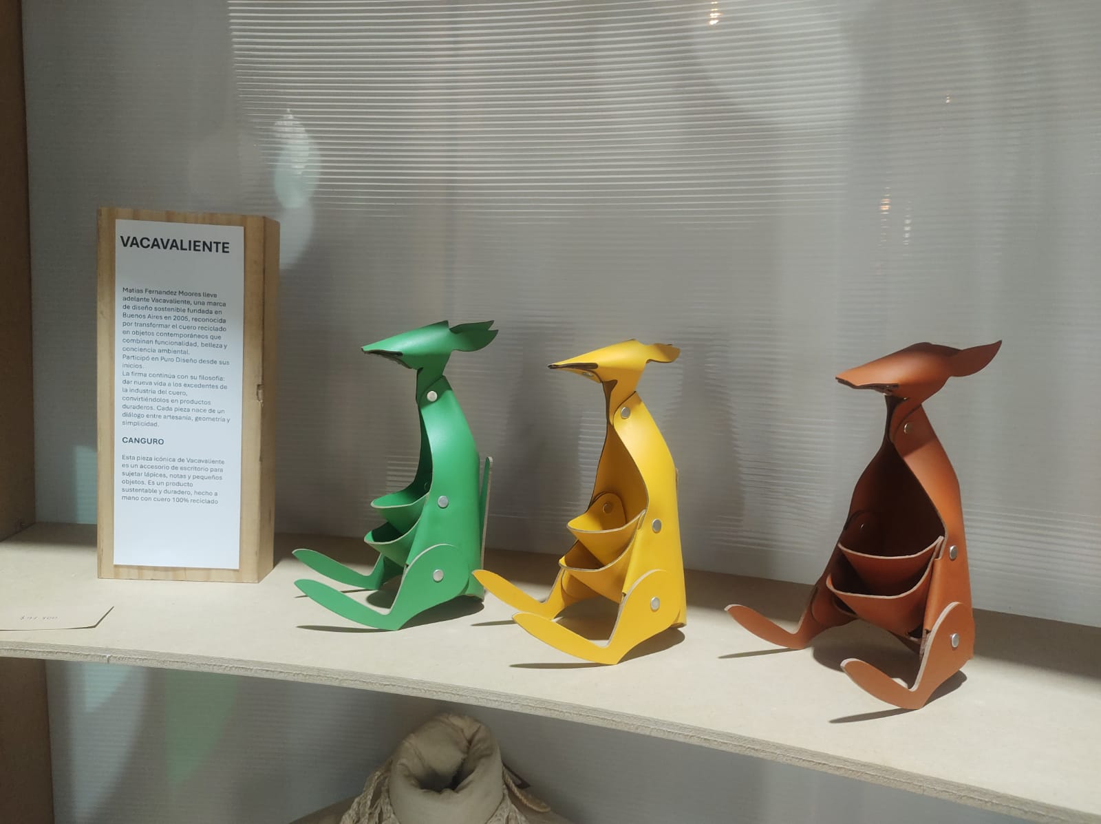 El canguro de VACAVALIENTE. 