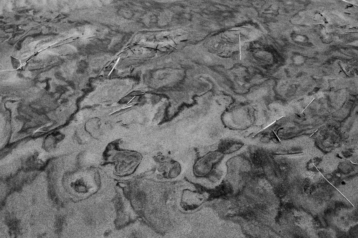 “Off Season: Wind Full of Space”. 